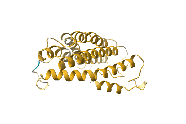 AF-A0A6J3XQ01-F1 image