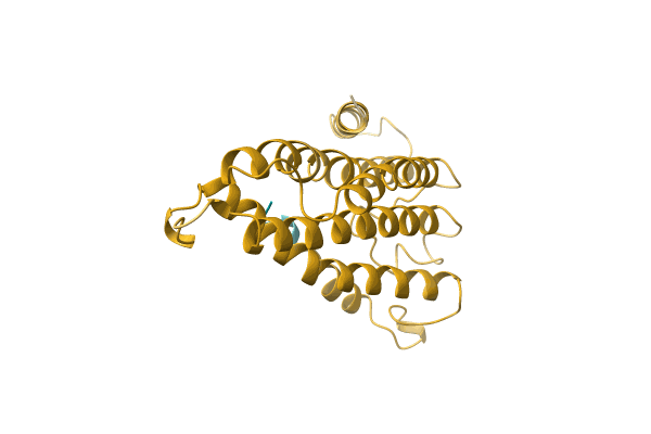 AF-A0A6J3XQ76-F1 image