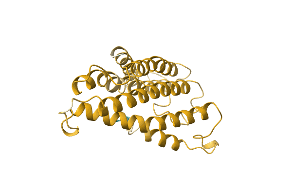 AF-A0A6J3XQB4-F1 image