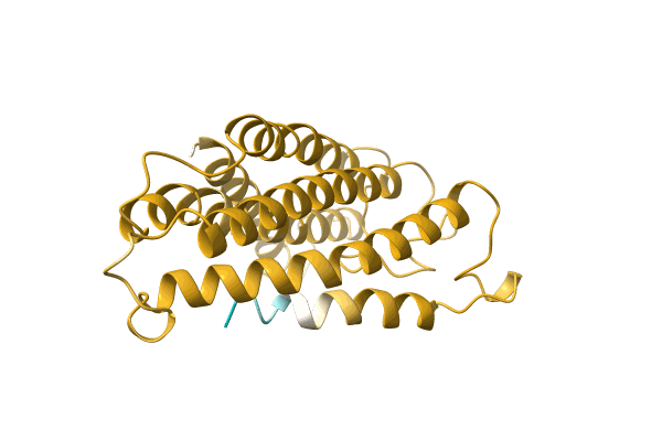 AF-A0A6J3XSG3-F1 image