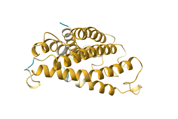 AF-A0A6J3XU88-F1 image