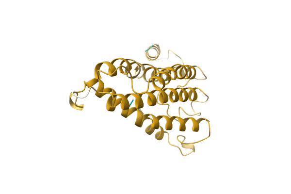 AF-A0A6J3Y433-F1 image