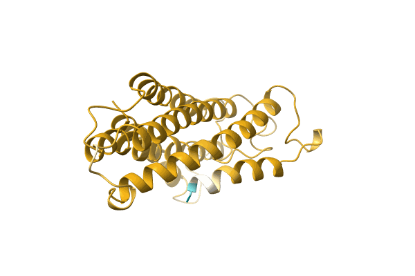 AF-A0A6J3Y4F8-F1 image