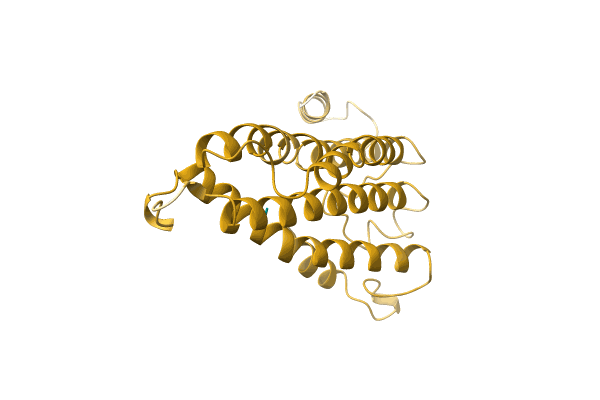 AF-A0A6J3Y4T6-F1 image