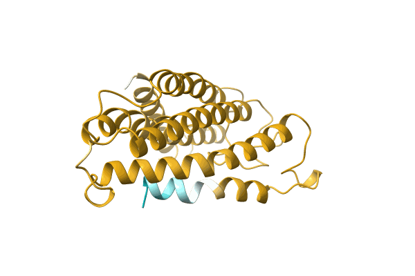 AF-A0A6J3Y4Y7-F1 image