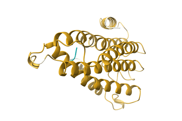 AF-A0A6J3Y577-F1 image