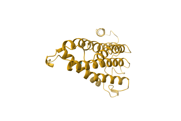 AF-A0A6J3Y5V8-F1 image