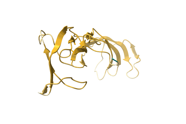 AF-A0A6J4ERH7-F1 image