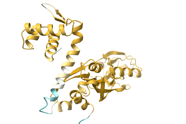 AF-A0A6M1RG32-F1 image