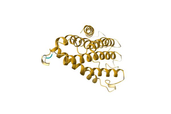 AF-A0A6M2R467-F1 image