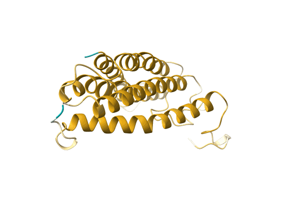 AF-A0A6M3R4P7-F1 image