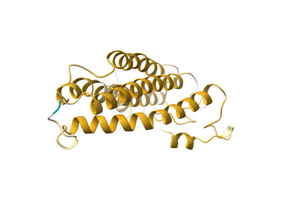 AF-A0A6M3R523-F1 image