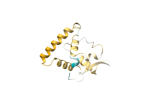 AF-A0A6M4BE14-F1 image