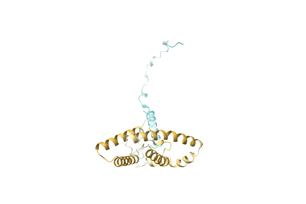 AF-A0A6M4BFQ0-F1 image