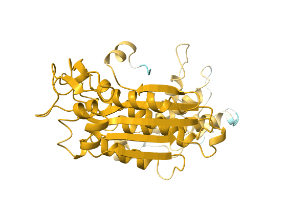 AF-A0A6M4BIT7-F1 image