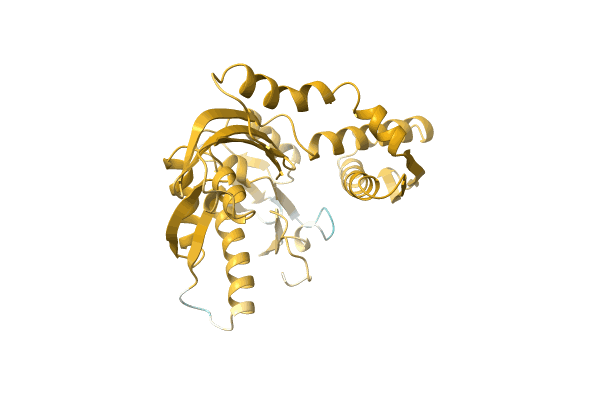 AF-A0A6M4BIW2-F1 image