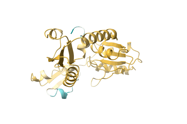 AF-A0A6M4BK82-F1 image