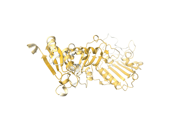 AF-A0A6M4BM45-F1 image