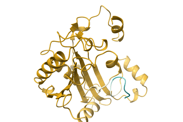 AF-A0A6M4BSI8-F1 image