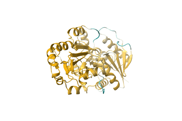 AF-A0A6M4MBJ5-F1 image