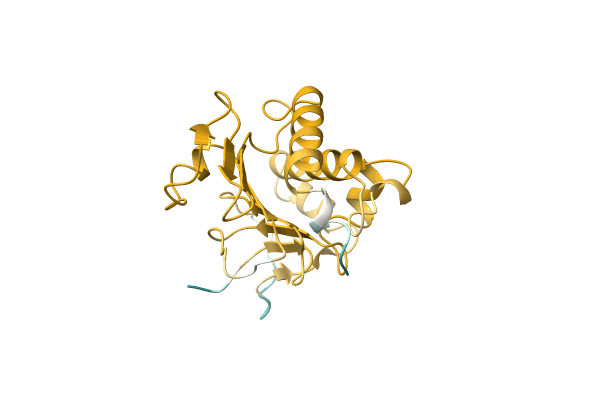 AF-A0A6M4MC55-F1 image