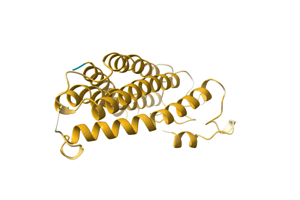 AF-A0A6M8NSP4-F1 image