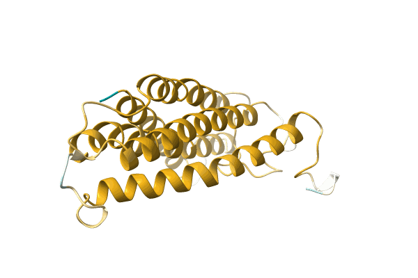 AF-A0A6M8P5X7-F1 image