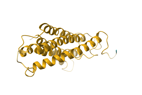 AF-A0A6M8P8G7-F1 image