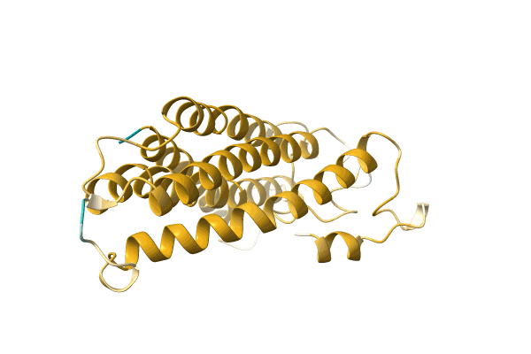 AF-A0A6N0C196-F1 image