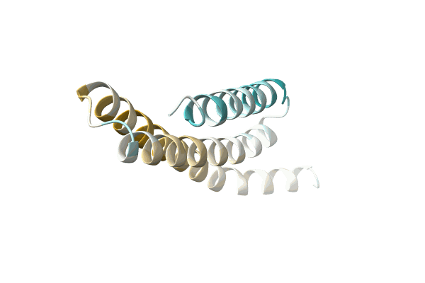 AF-A0A6N2H173-F1 image