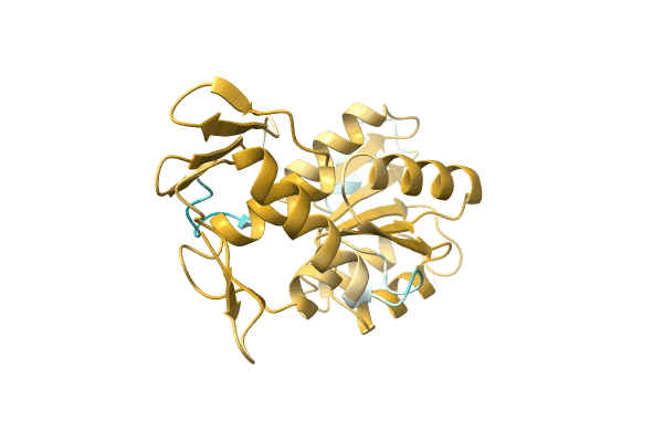 AF-A0A6N2I987-F1 image