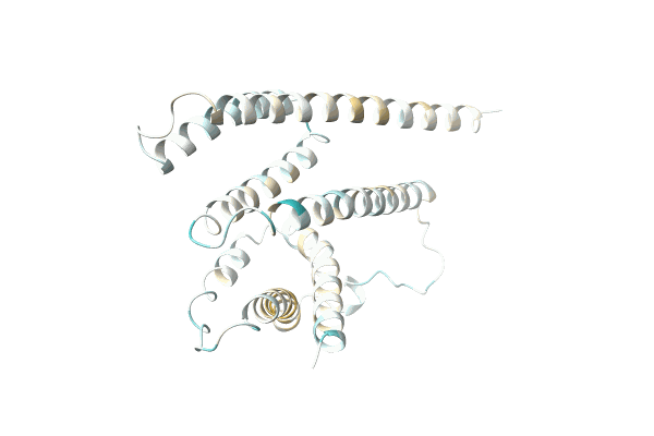 AF-A0A6N2K007-F1 image