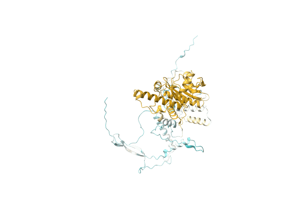 AF-A0A6Q2XUS9-F1 image