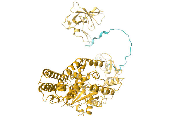 AF-A0A6S4V5Q5-F1 image