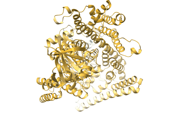 AF-A0A6S5WSD2-F1 image