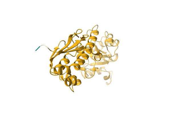 AF-A0A6S5X8F4-F1 image