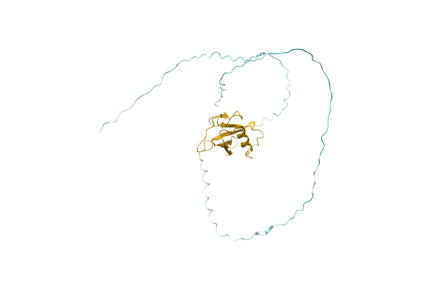 AF-A0A6U3TM05-F1 image