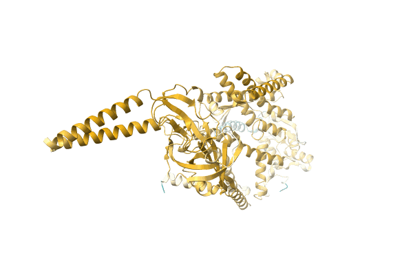 AF-A0A7C3W4P4-F1 image