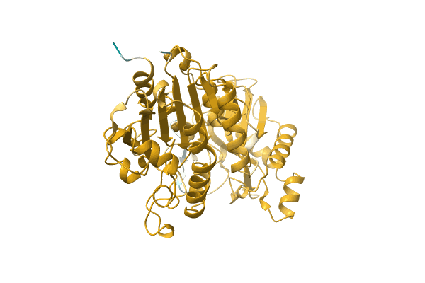 AF-A0A7C4B7U6-F1 image