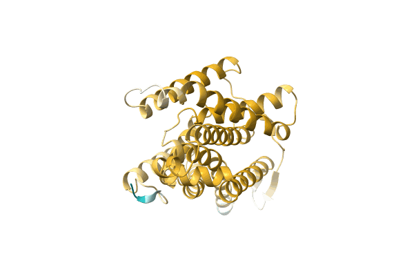 AF-A0A7C4B7W7-F1 image