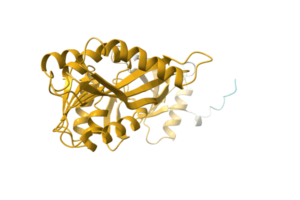 AF-A0A7C4B7Y3-F1 image