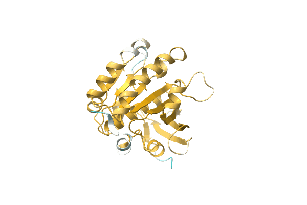 AF-A0A7C4B8K6-F1 image