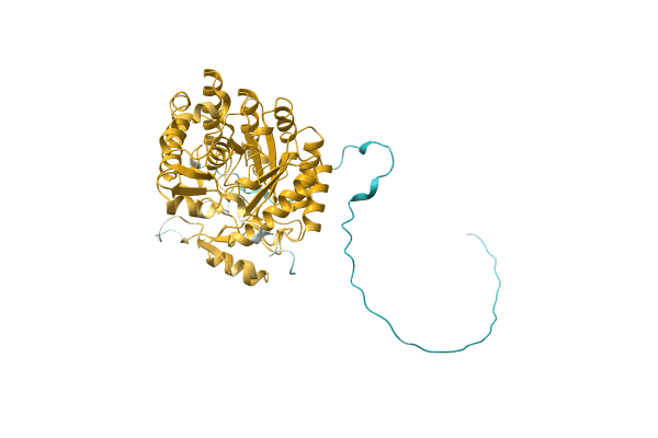 AF-A0A7C4B8P1-F1 image