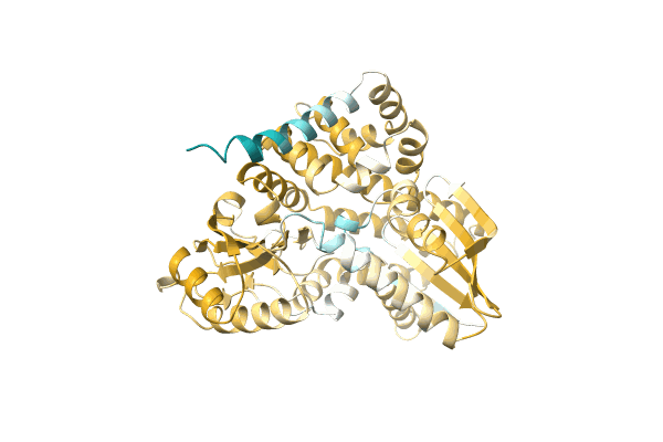 AF-A0A7C4B8S5-F1 image