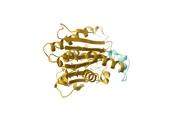 AF-A0A7C4MEA2-F1 image