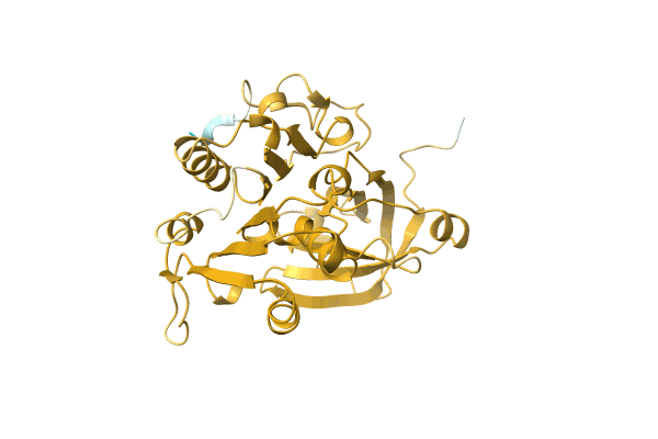 AF-A0A7C4MEC1-F1 image