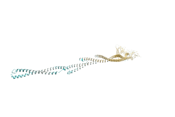 AF-A0A7C4MI21-F1 image