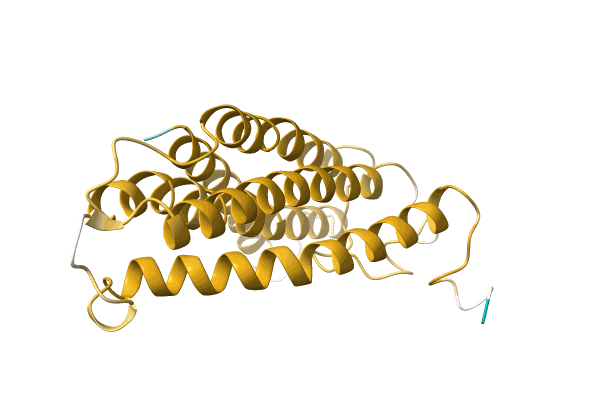 AF-A0A7D0HCU3-F1 image