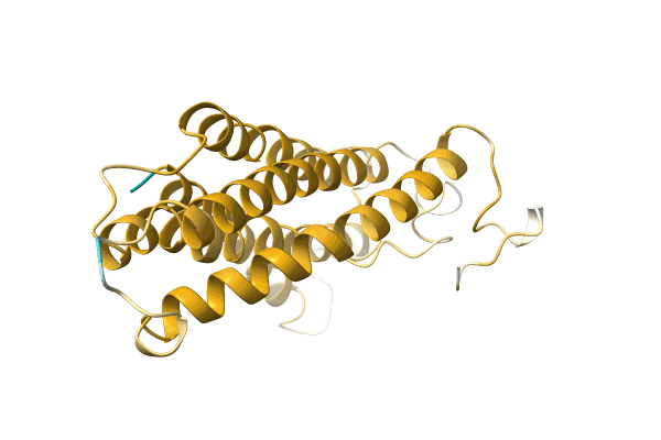 AF-A0A7D0HFE7-F1 image