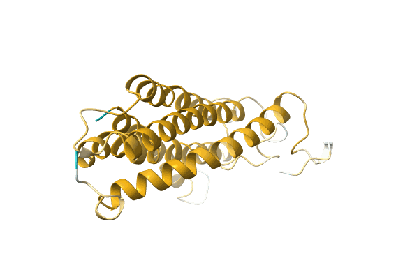 AF-A0A7D0HKA0-F1 image